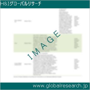 グローバルリサーチ調査レポートのイメージ